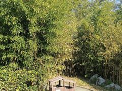 -贮水山儿童公园