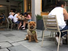 -RAC BAR(安福路店)