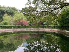 -望江楼公园