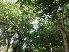 -海南热带海洋学院(三亚校区)