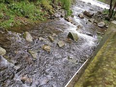 -宁波五龙潭景区