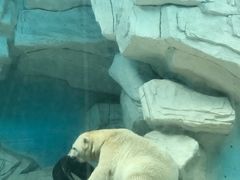 -泉城欧乐堡海洋极地世界