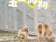 -广州动物园