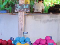 -大象粑粑造纸公园