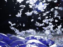 -混沌·星球