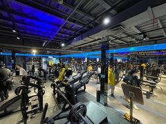 -派立斯游泳健身(狂野店)