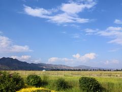 -敕勒川草原文化旅游区