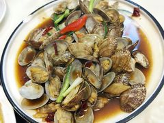 葱姜炒花蛤-鑫悦楼煎蟹·16年海鲜大排档