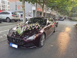 -蚂蚁婚车