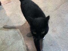 -观澜湖手艺工场·陶艺·吹玻璃·拼豆