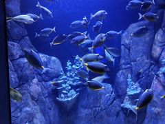 -成都浩海立方海洋公园