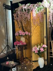 -WAVE SODA摄影工作室