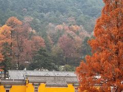 -九华山风景区