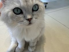 -怪兽屋·羊驼·猫咖·狗咖(俊华广场店)