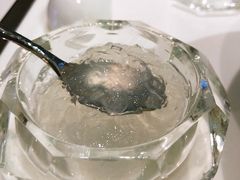 -燕庭·纯燕窝·甜品下午茶(南京西路店)
