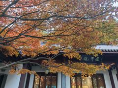 -十八棵（老龙井）御茶园(老龙井店)