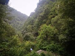 -驼梁风景区