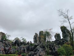 -千岛湖石林