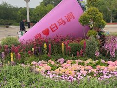 -白马涧龙池景区