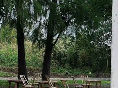 -同里国家湿地公园