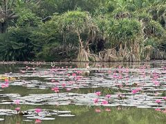-中国科学院西双版纳热带植物园