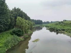 -东郊湿地公园