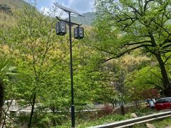-芦茨金富饭庄·25年老字号·专做稻草鸡