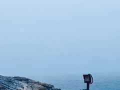-广东惠东海龟国家级自然保护区