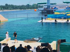 -秦皇岛乐岛海洋王国