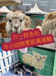 -萌宠亲子动物乐园(槐房万达店)