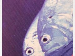 -九毛九西北菜(大东海店)