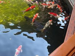 -香麒园·过桥米线·南湖雅宴
