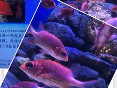 -成都浩海立方海洋公园