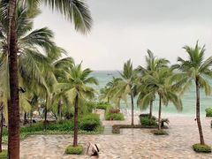 -日落吧·海景咖啡厅·餐酒吧·鸡尾酒·下午茶·乐队表演·浪漫夕阳·三亚文华东方酒店