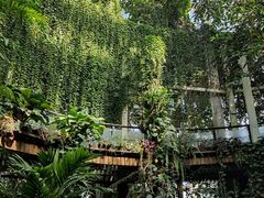 -昆明植物园