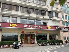 -OLD TREE老树咖啡·西餐厅(台山人工湖店)