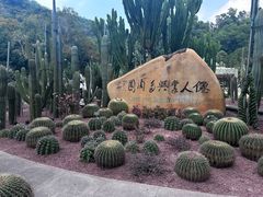 -深圳仙湖植物园