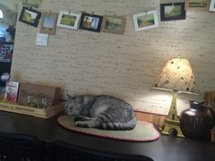 -隅cafe(傅厚岗店)
