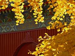 -承恩寺
