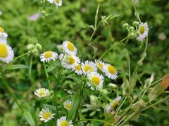 -洋湖国家湿地公园