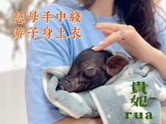 -猪盟咖啡店(玖洲道店)