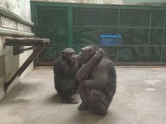 -石家庄市动物园