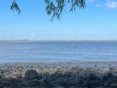 -上海吴淞炮台湾国家湿地公园