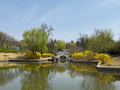 -来之顺海鲜菜馆·青岛菜·始于1993(栈桥店)