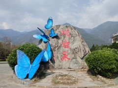 -蝴蝶泉公园