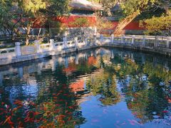 -国家植物园南园