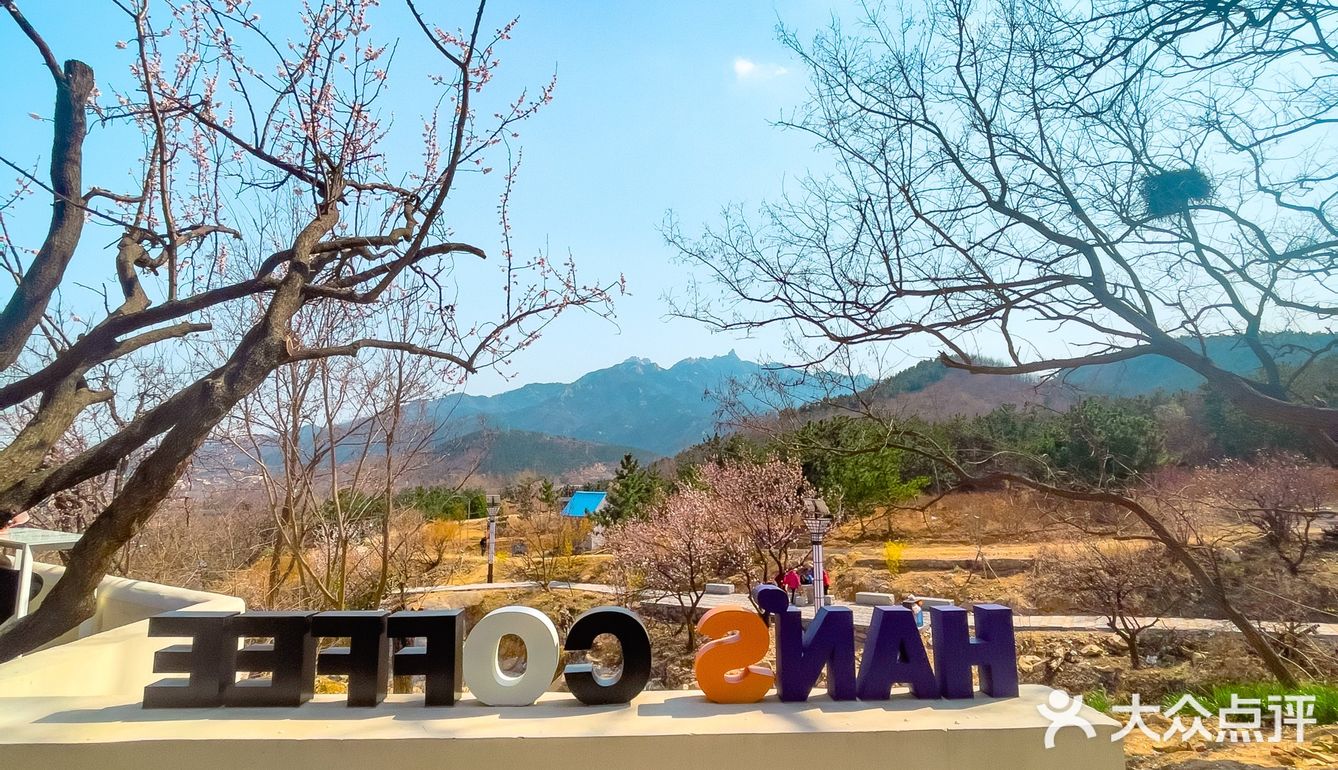 青岛崂山超小众咖啡店❗️真的有被美到呢