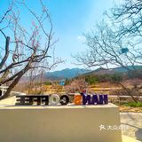 青岛崂山超小众咖啡店❗️真的有被美到呢