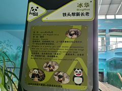 -沈阳森林动物园