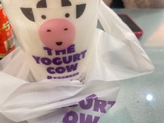 -一只酸奶牛(东方广场店)